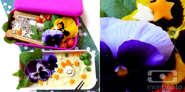 mon bento flower lover mademoiselle m