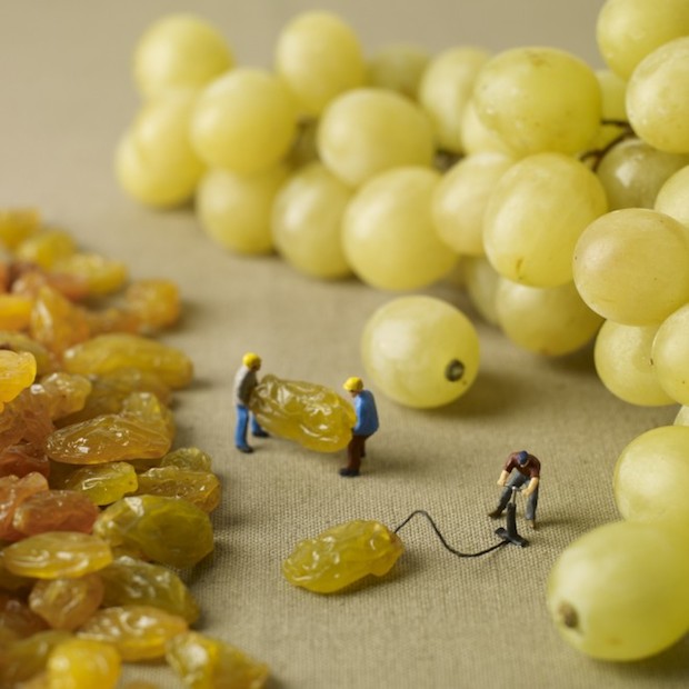 minimiams-raisin