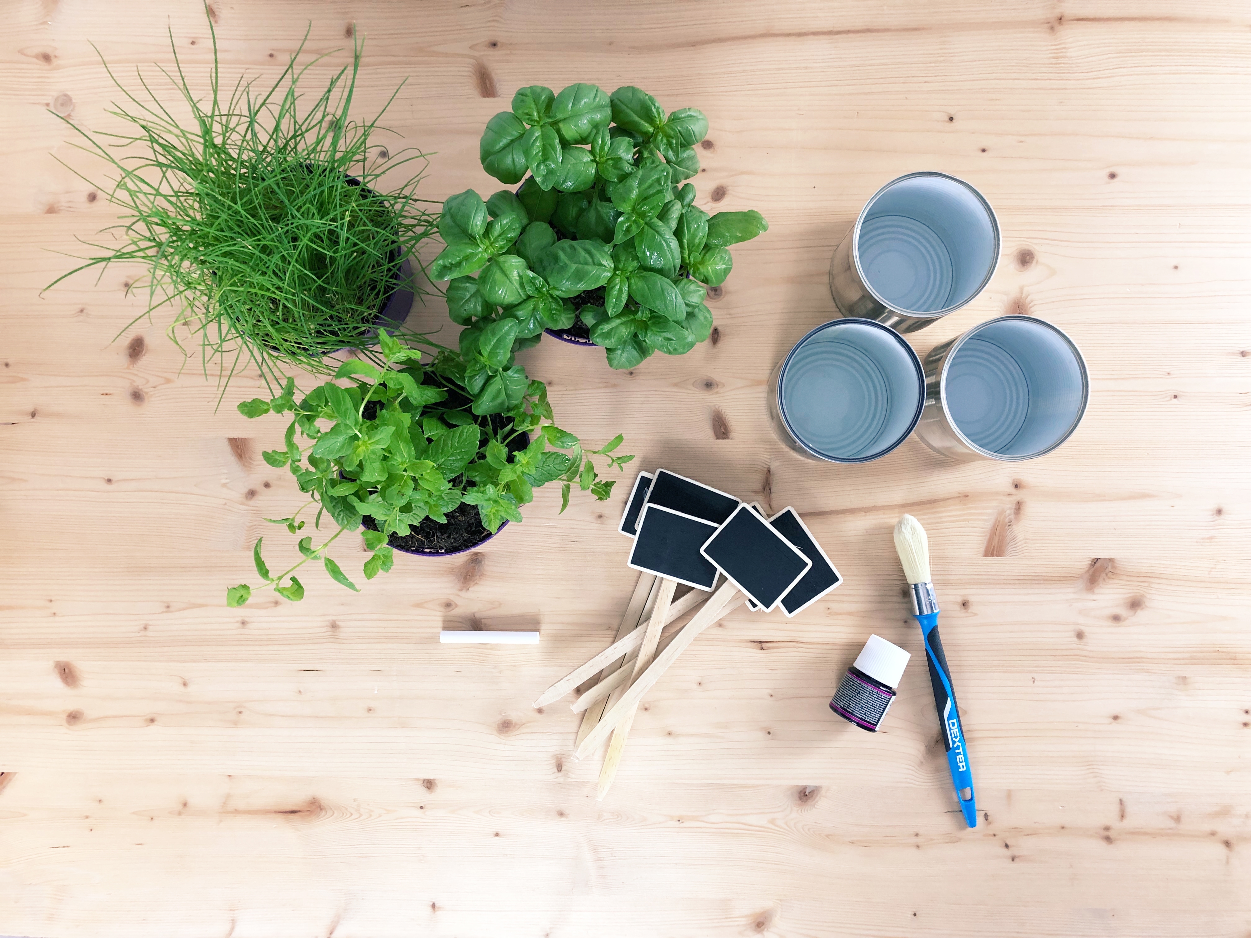 DIY mini garden aromatic herbs chives mint basil tin cans recycle