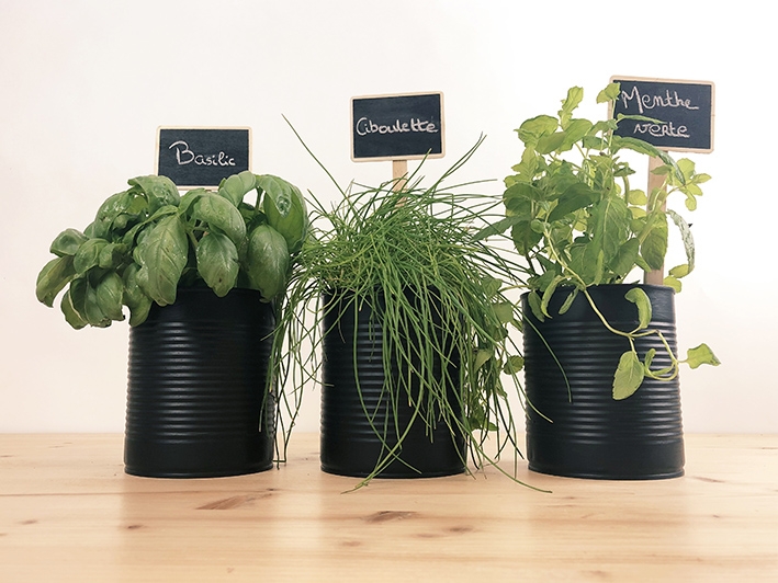 blog monbento DIY jardin aromatique pots plantes aromates basilic ciboulette menthe