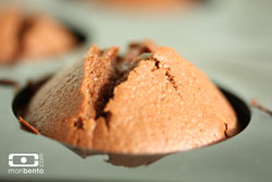 cupcake mon bento volcan
