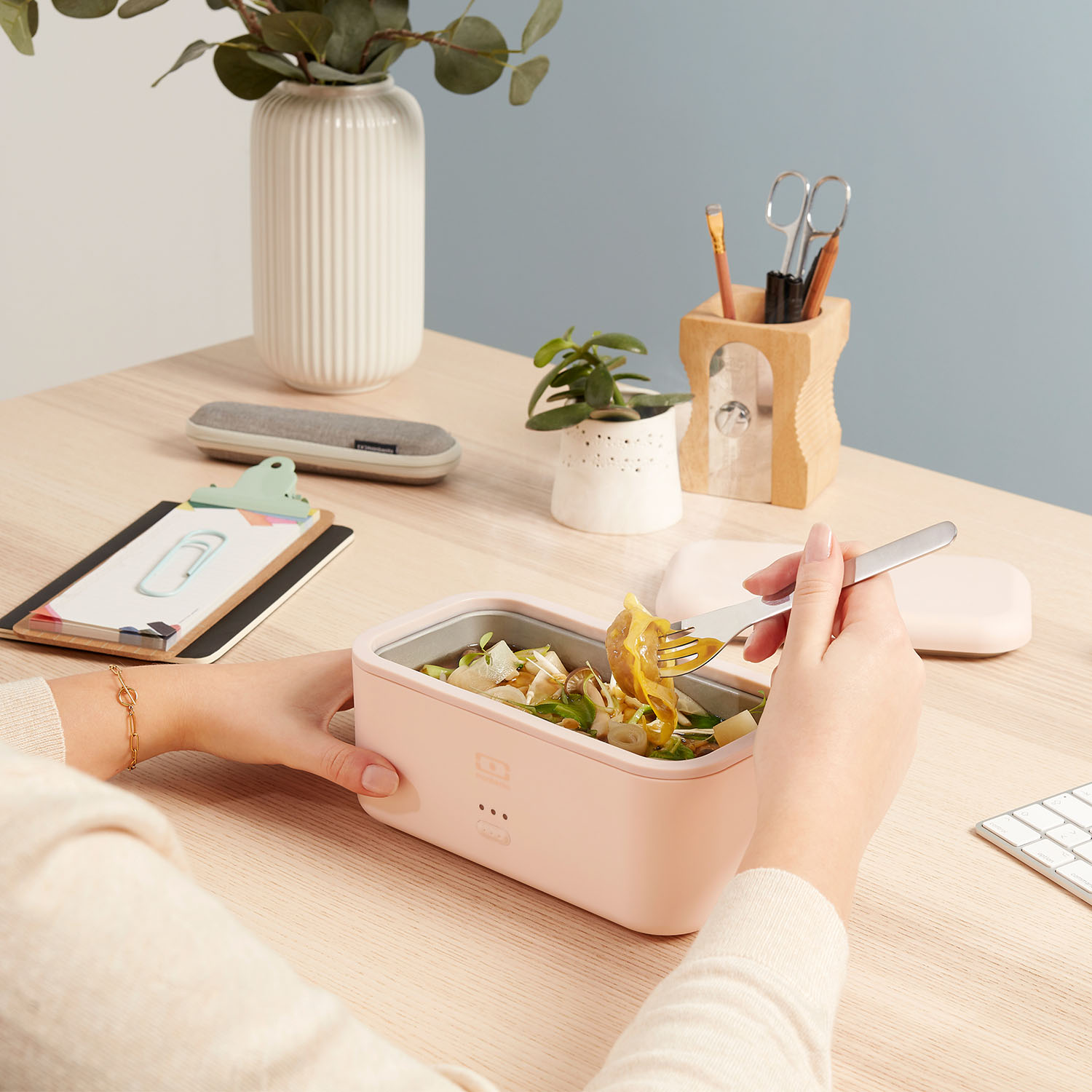 Boîte à lunch électrique portable en acier inoxydable, chauffe-plats, bento  chauffant sans eau, boîtes thermiques